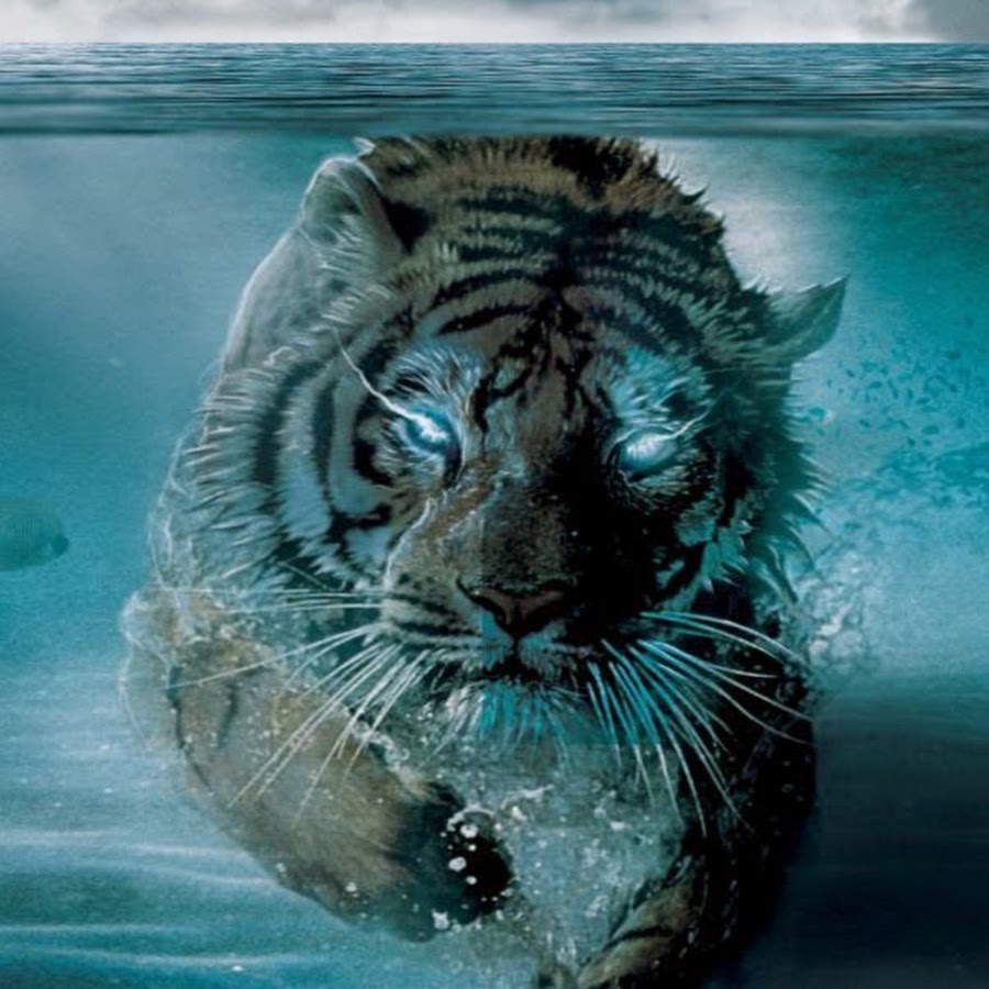 Хельмут коллер синий тигр. Тигр 2022. Тигр зодиак. Год голубого водяного тигра 2022. 2022 год вода.
