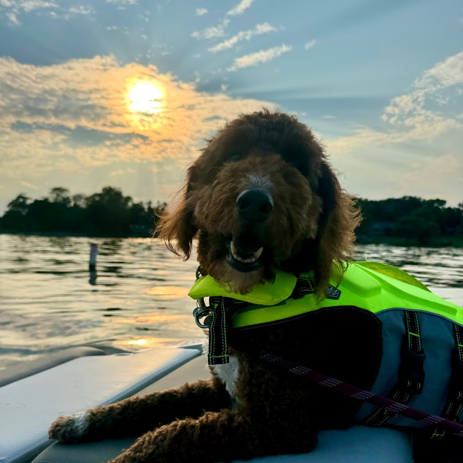 Buff Jar Jar YouTube