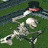 Sir Bones IV avatar