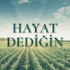 What could Hayat Dediğin Dizisi buy with $653.36 thousand?