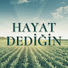 What could Hayat Dediğin Dizisi buy with $653.4 thousand?