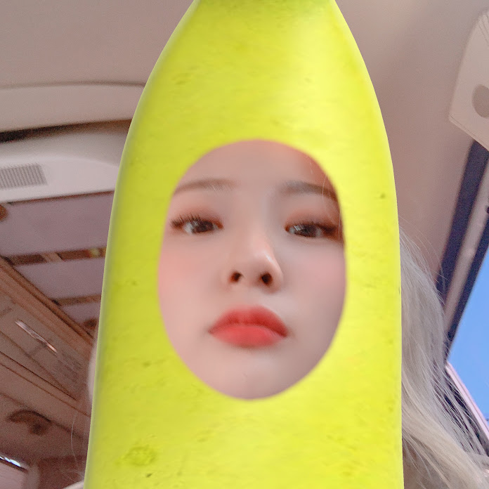 안지영 [안녕, 안졍] Net Worth & Earnings (2026)