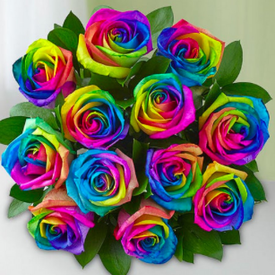 Чик Rainbow цветок