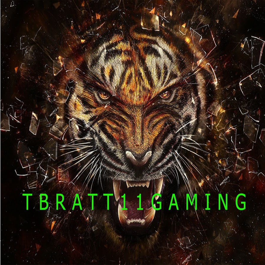 Tbratt11gaming 