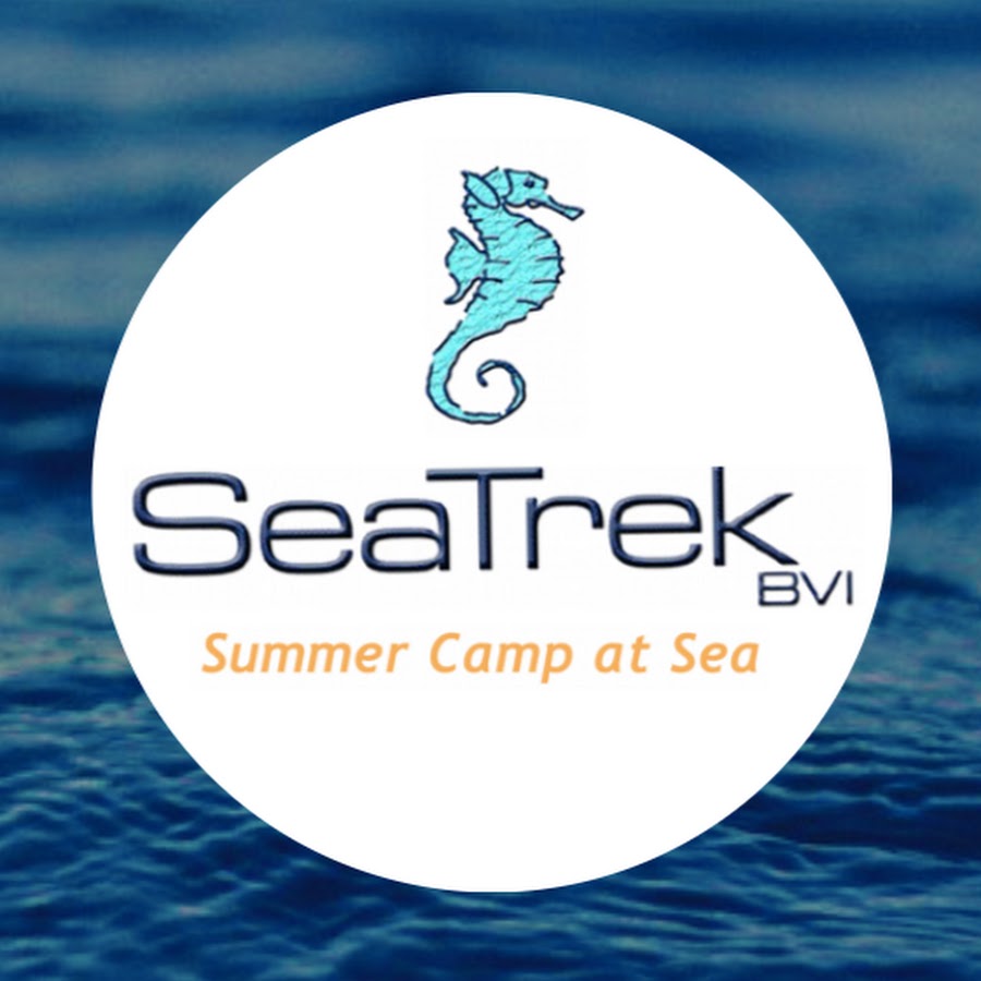 SeaTrek BVI - YouTube