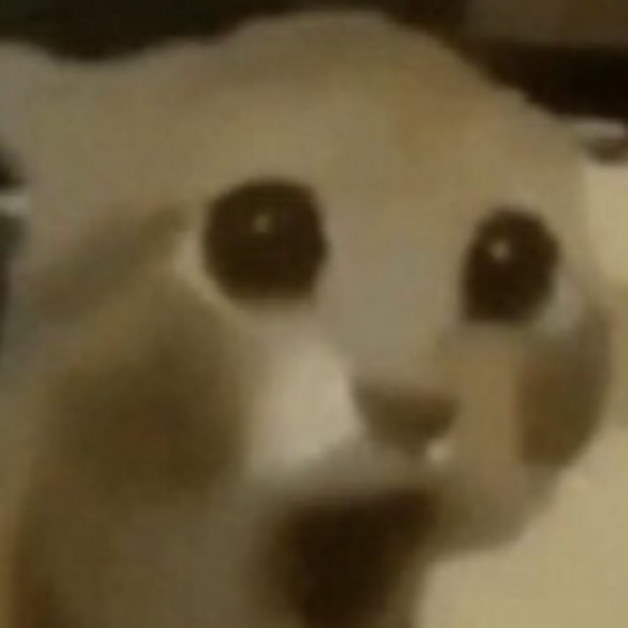 bacon hair 012 YouTube