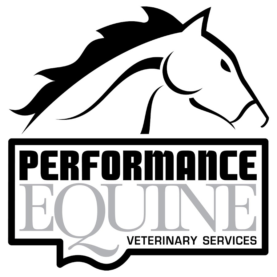 Performance Equine Veterinary Services YouTube