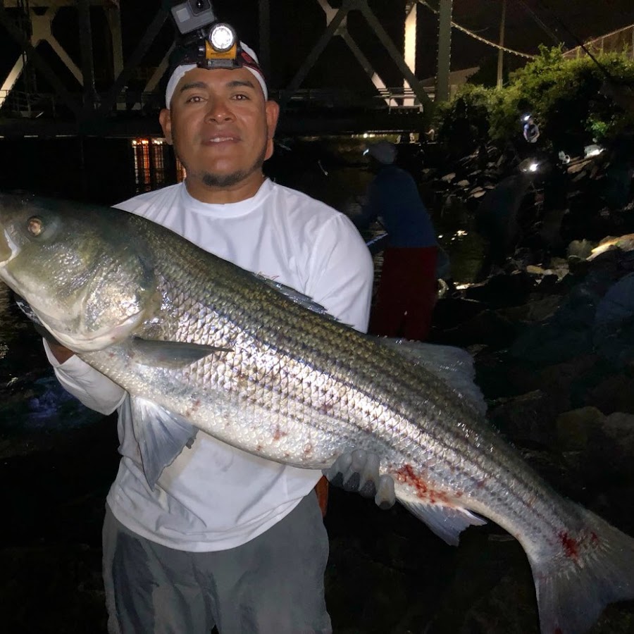 RVA FISHING 