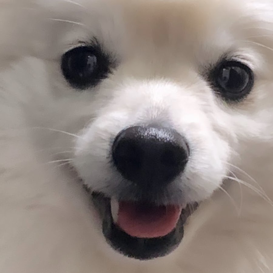 시에나sienna - YouTube