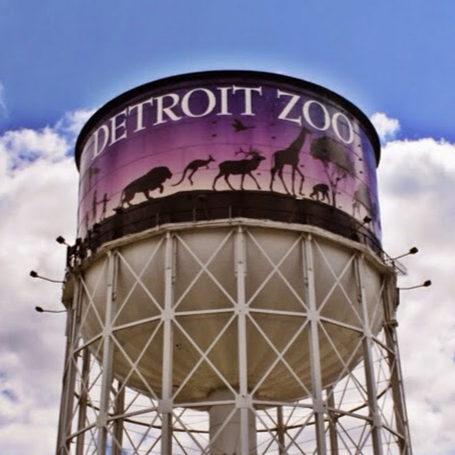 Detroit Zoo YouTube