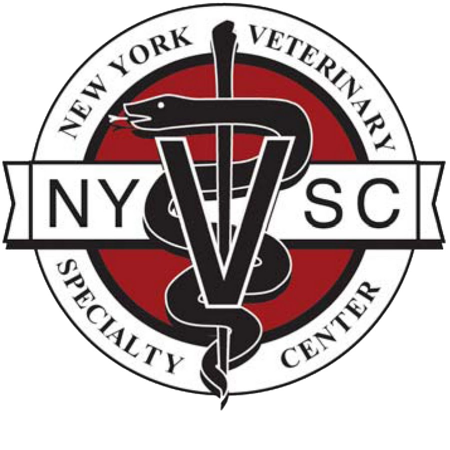 New York Veterinary Specialty & Emergency Center YouTube