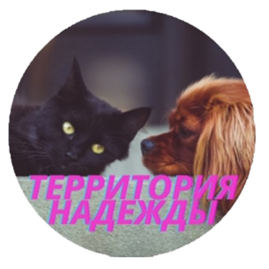 территория надежды кот и пес. территория надежды. территория добра севастополь. территория надежды кот и пес. рождество 2022 семья пес кот.