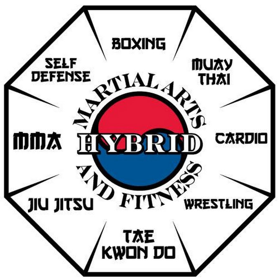Hybrid Martial Arts Chicago YouTube
