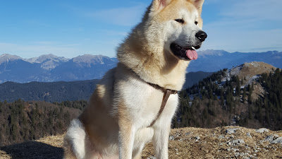 tourist attractions in akita japan