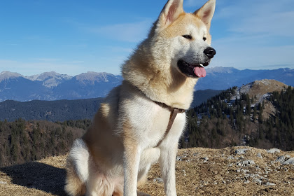 tourist attractions in akita japan