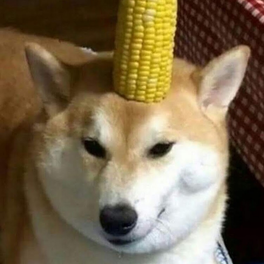 hecc 
