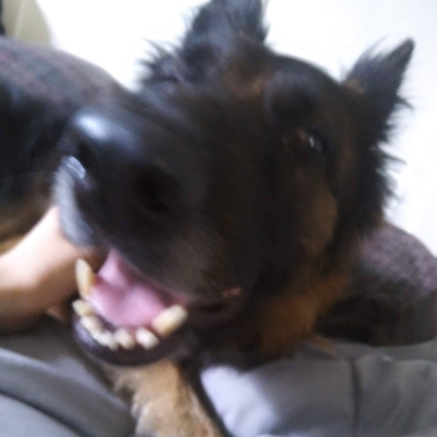 Phillip Hamilton - YouTube