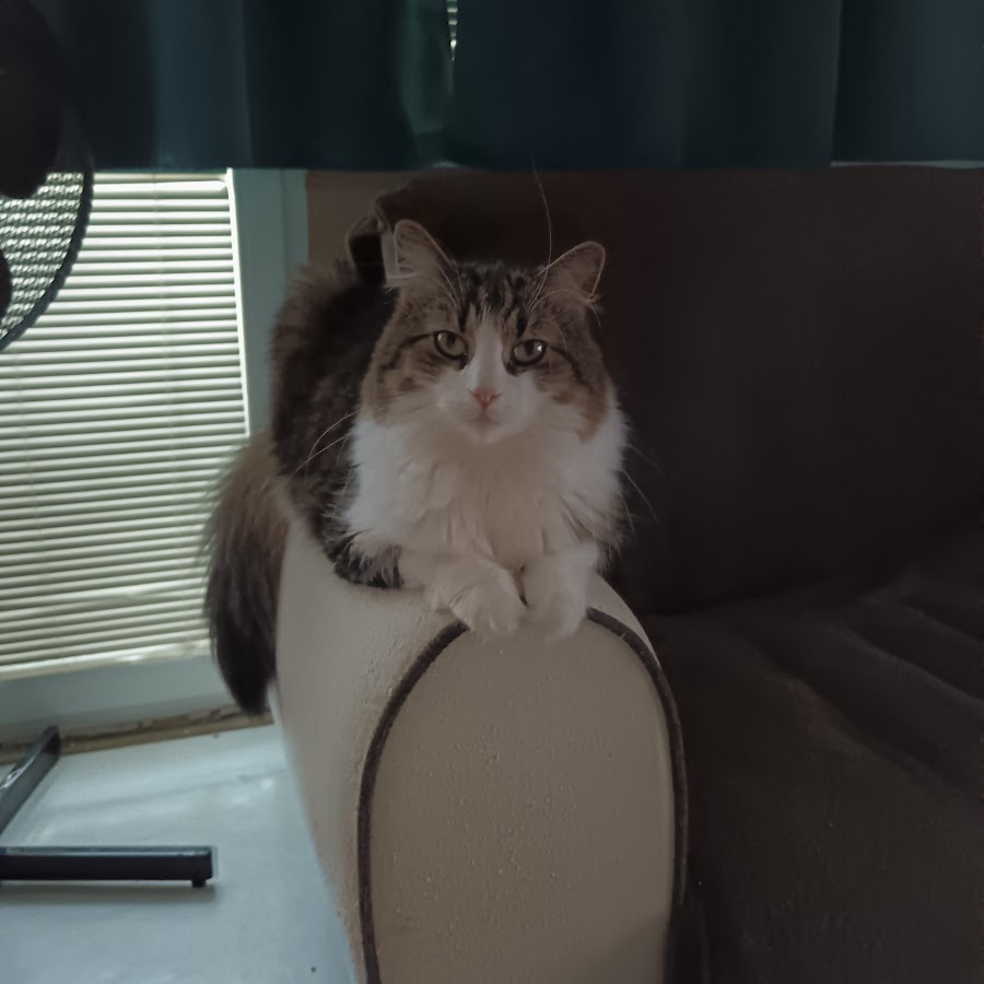 Сумеречные охотники клэри и джейс. Джейс и клэри будут вместе. Клери из сумеречные охотники и джейс. Gif clace сумеречные охотники. Иззи и клэри.