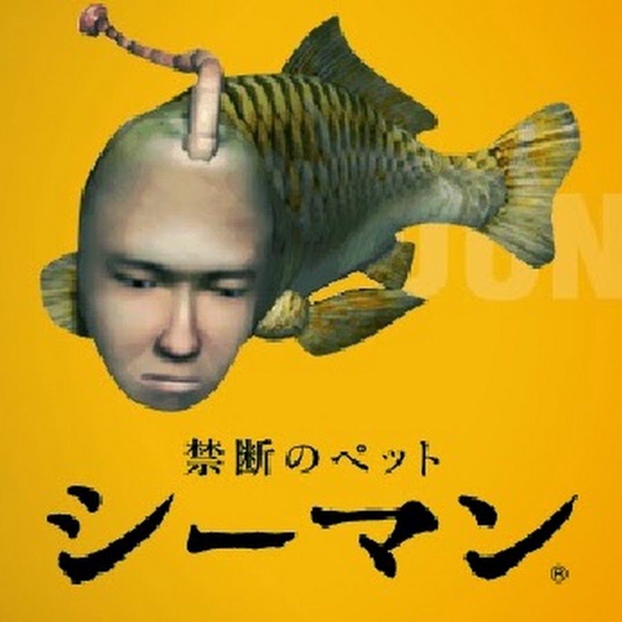 ソース画像を表示