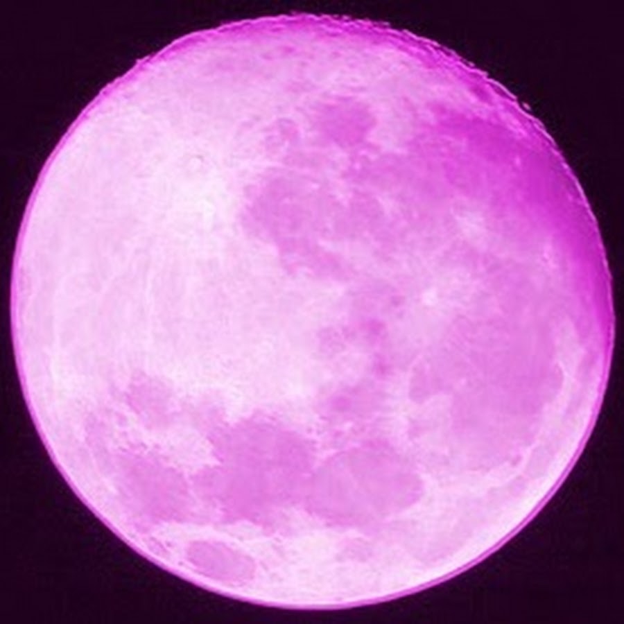 Розовое полнолуние 2024. Луна. Розовая Луна. Бледно розовая Луна. Розовое полнолуние.