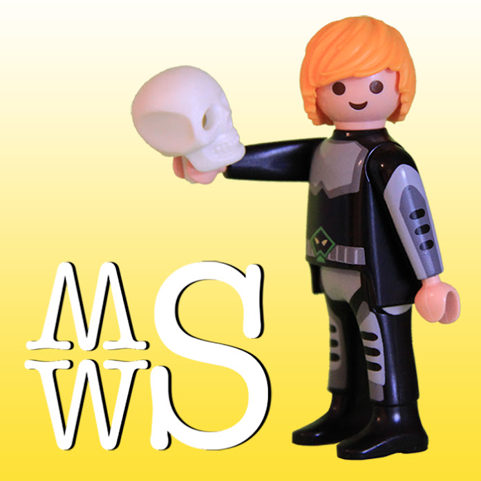 Sommers Weltliteratur to go Net Worth & Earnings (2026)