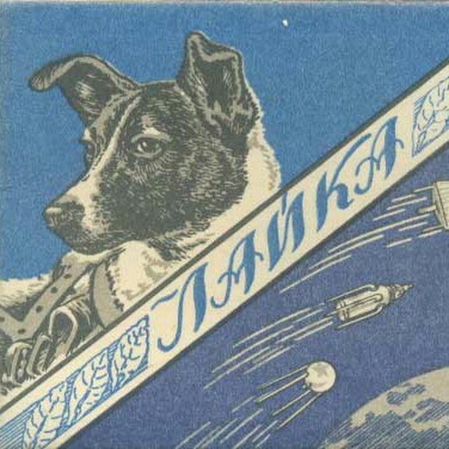 Первая собака в спутнике. Лайка 1957. Собака лайка 1957. Лайка космонавт марка Советская. Космосе собака лайка СССР.