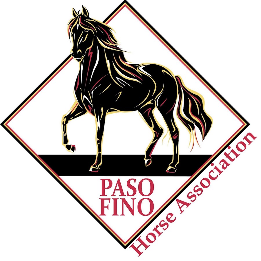 Ocala paso fino horse association