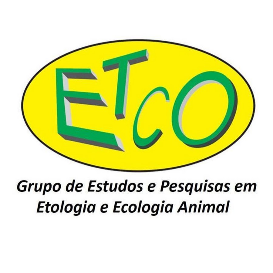Grupo ETCO - YouTube