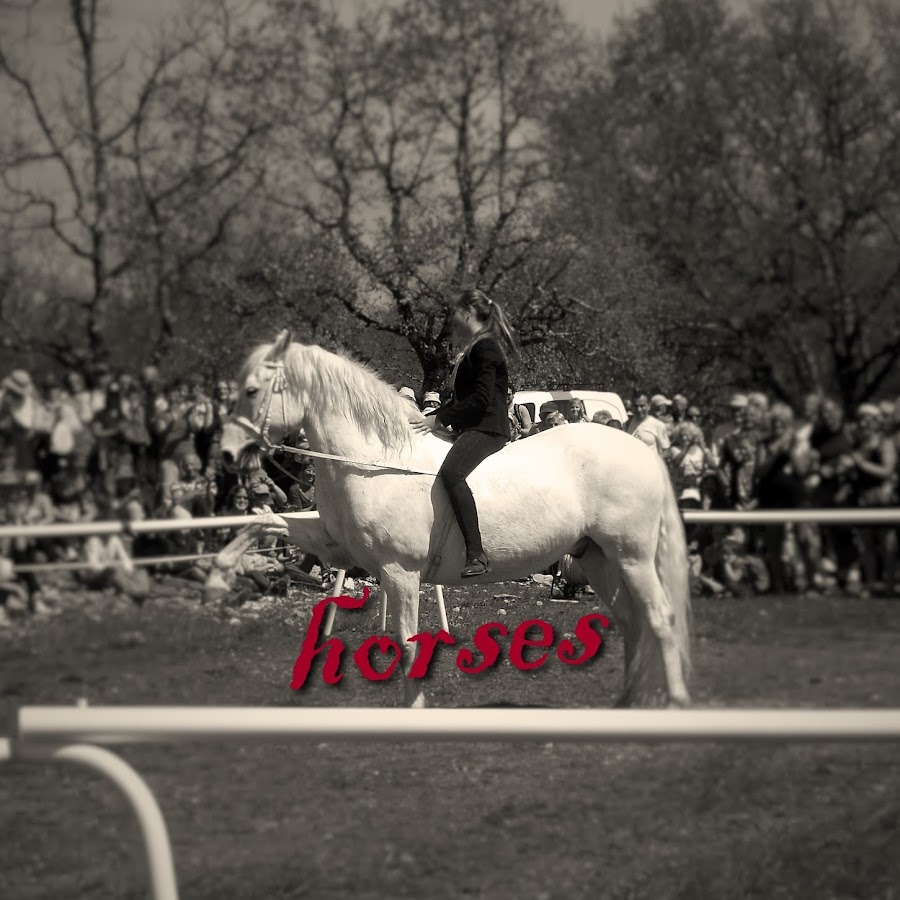 Marie Horses YouTube