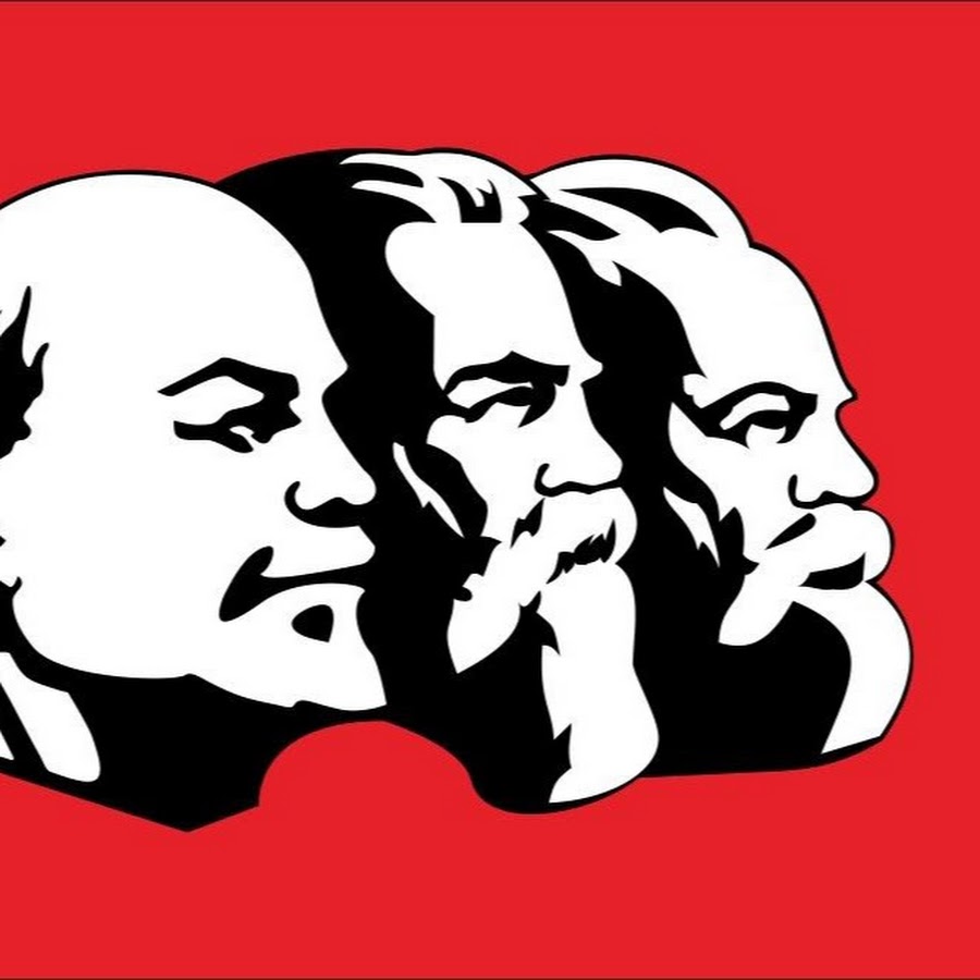 purple parrot YouTube