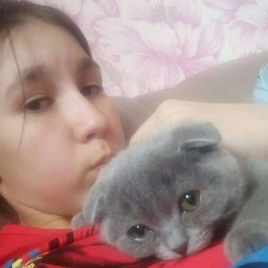 DIANA CAT YouTube DIANA CAT YouTube