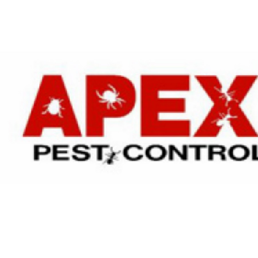 Apex Pest Control Asheville YouTube