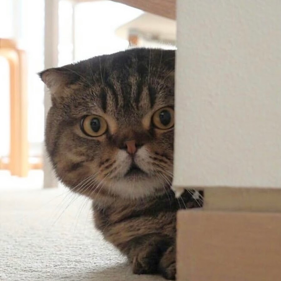 YOUR MY HERO - YouTube