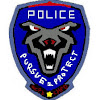 Redview County Police Department - YouTube