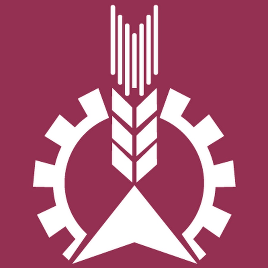 агротехнопарк. свиноферма на 2000 голов. ооо «агротехнопарк». технологический агротехнопарк. логотип агротехнопарк.