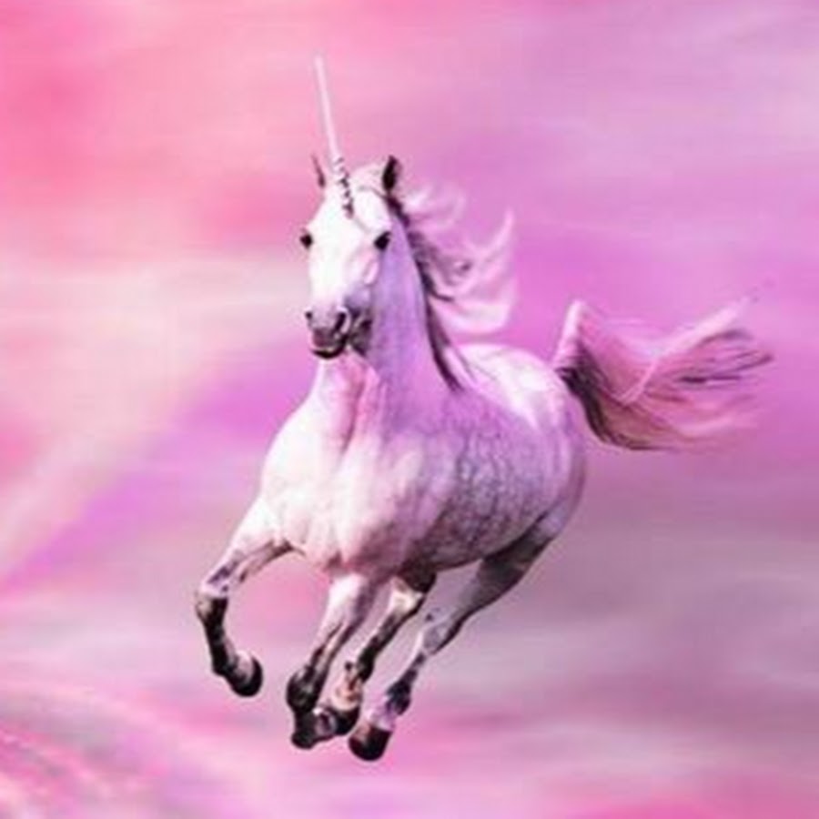 Розовый конь стихотворение. Единорог. Розовый Единорог. Розовый конь. Розовая лошадь.