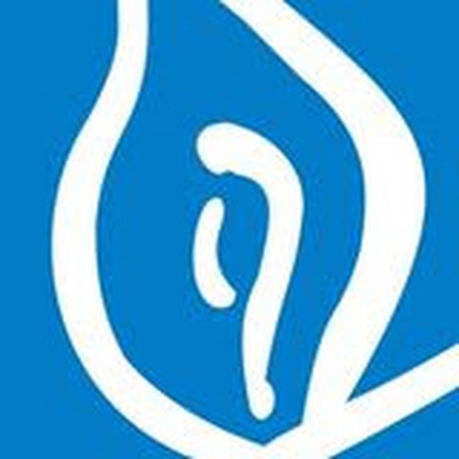 Collège de la Sainte Famille Fanar YouTube