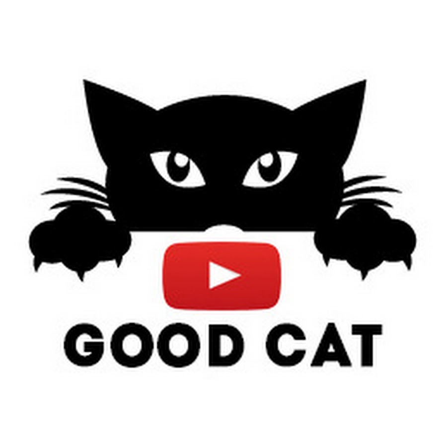 Good Cat - YouTube