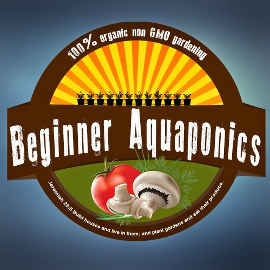 fish for aquaponics wa