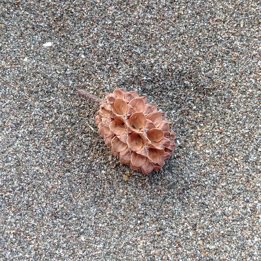 Aztris Official YouTube