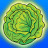 Lettuce avatar