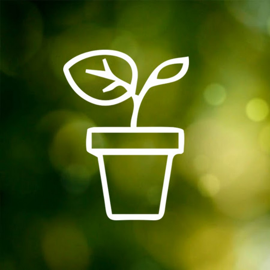 Gardening Australia - YouTube