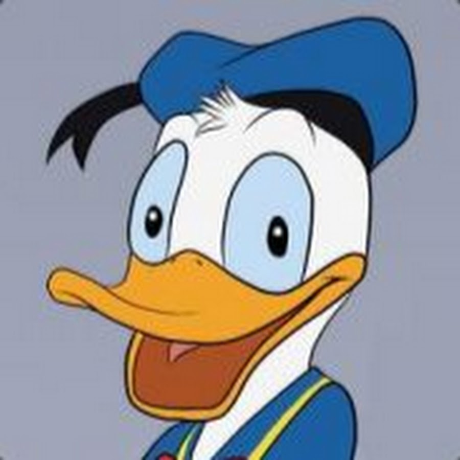 Ducks On Drugs YouTube