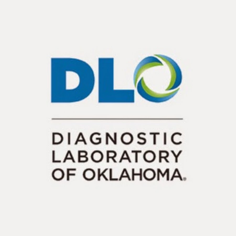 DLO Lab YouTube