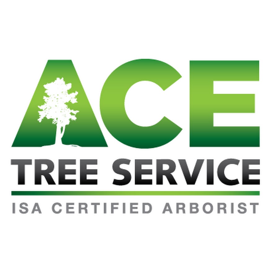 ACE Tree Service YouTube