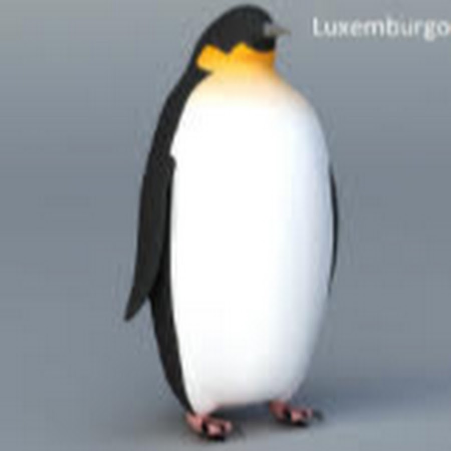 Пингвин 3 8. Пингвин 3 8. Пингвин 3д модель. Кто такой императорский пингвин. Пингвин 3 8.