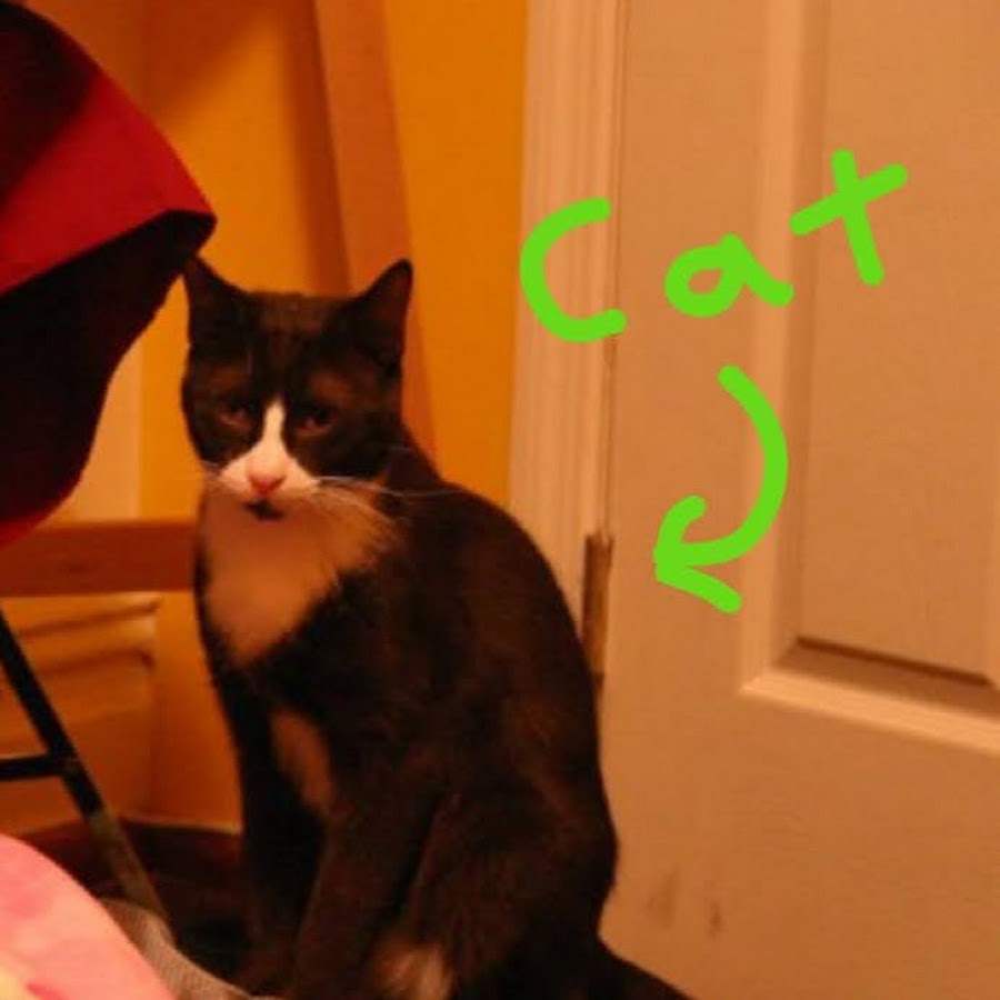 Riley Kilo - YouTube