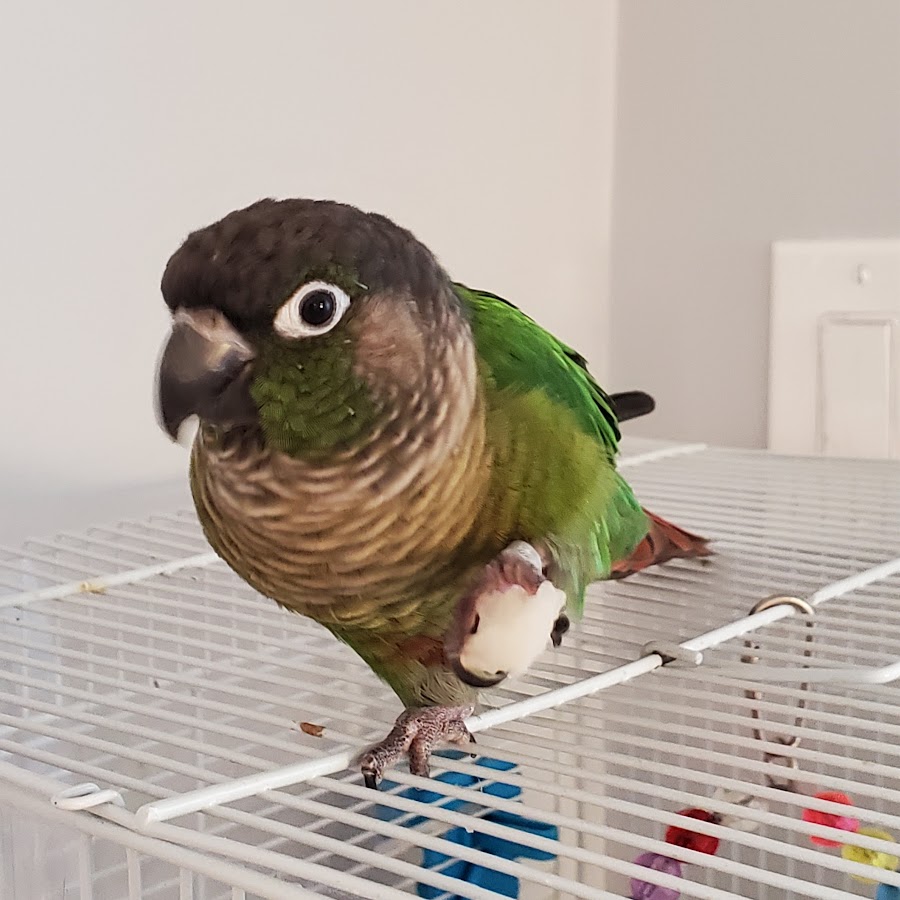 Shinae Kim - YouTube