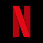 Netflix Italia Net Worth