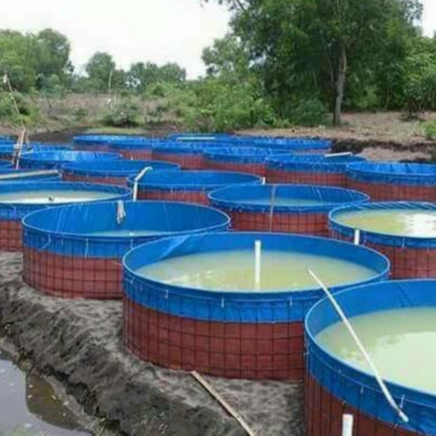 Jual Kolam Terpal 